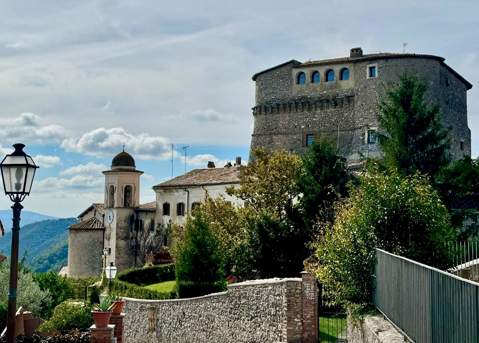 arenarius ornaro 2